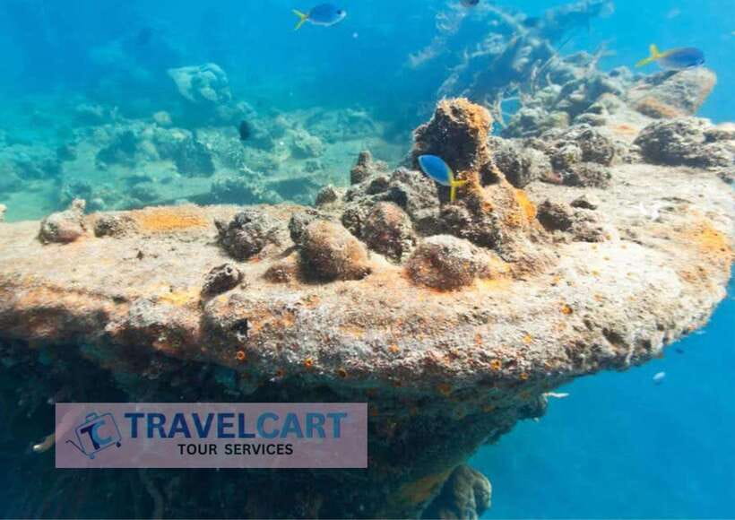 Coron Reef & Wrecks Tour - Key points before you book