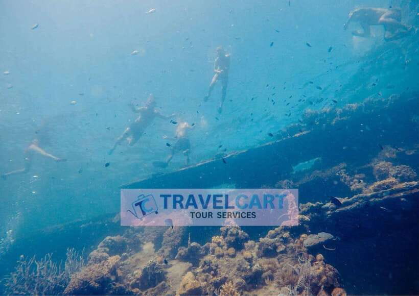 Coron Reef & Wrecks Tour - Why this Coron tour works so well