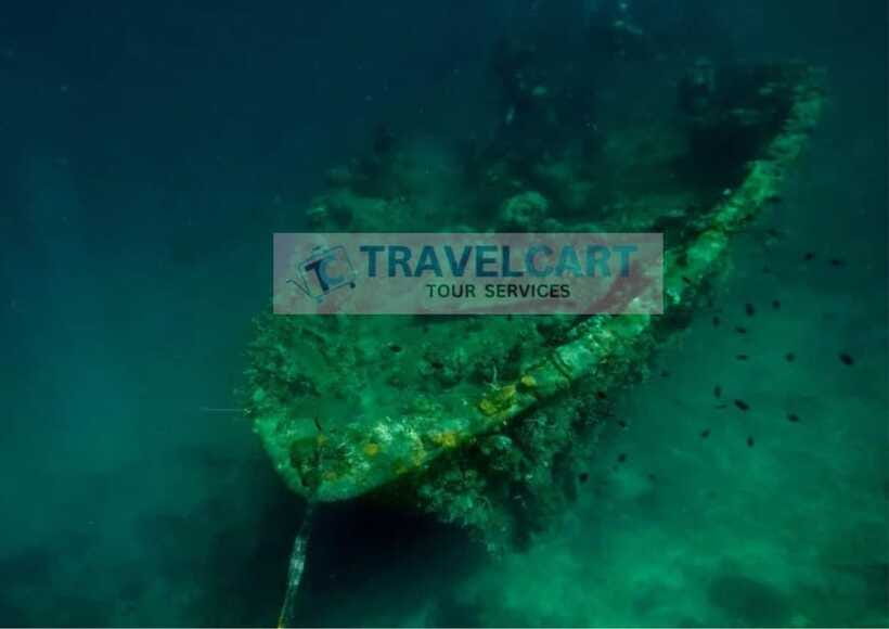 Coron Reef & Wrecks Tour - Lusong Gunboat turns wartime remains into a reef