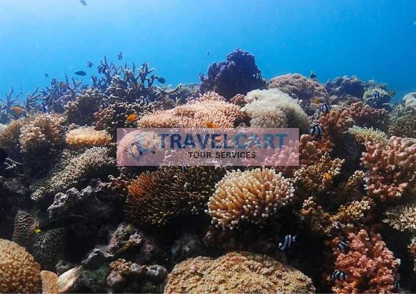 Coron Reef & Wrecks Tour - What the crew adds to the experience
