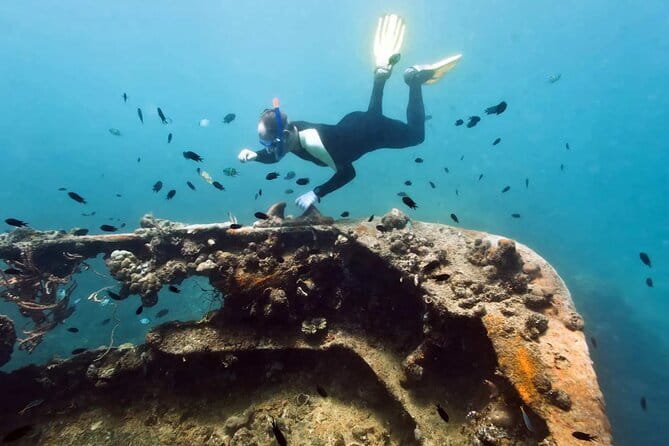 Coron Reefs and Wrecks Tour - Why this Coron day trip works