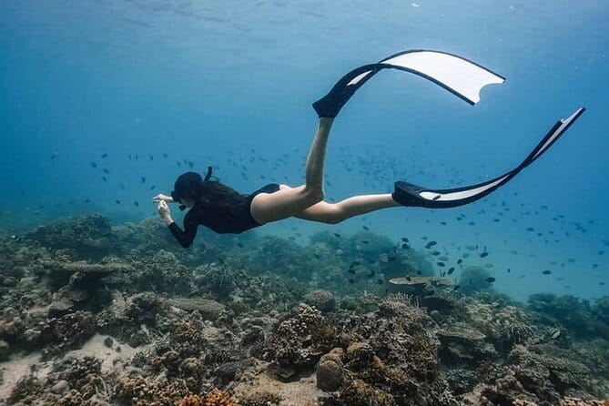 Coron Reefs and Wrecks Tour - Meeting at Lualhati Park at 9 a.m.