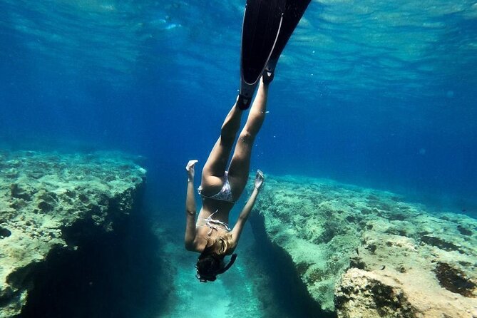Coron Shipwrecks and Lusong Coral Garden tour (Private / Shared) - Seeing the East Tangat at shallow depth