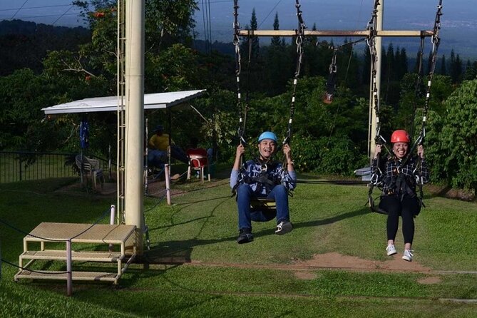 Davao Eden Nature Park Tour with snacks (6hrs) - Pine trees, mountain views, and a slower pace