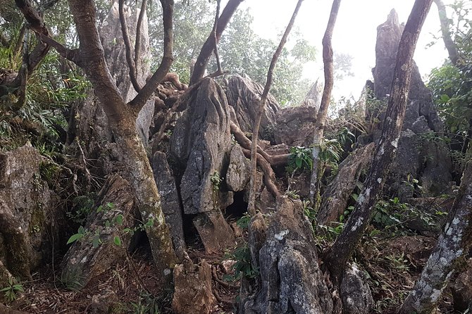 Day hike to Mount Daraitan with Tinipak River 2024 - The 4:00 a.m. pickup from Manila