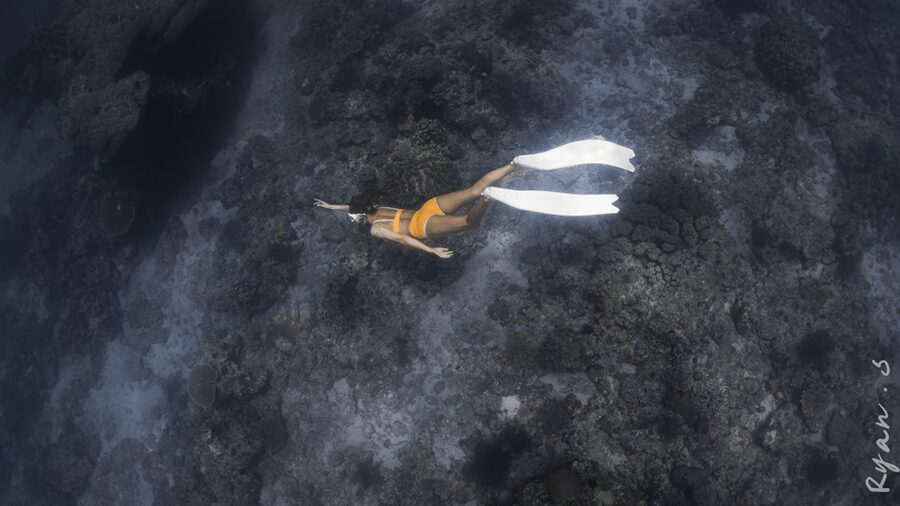 Discover Freediving in Boracay - Who should book this experience