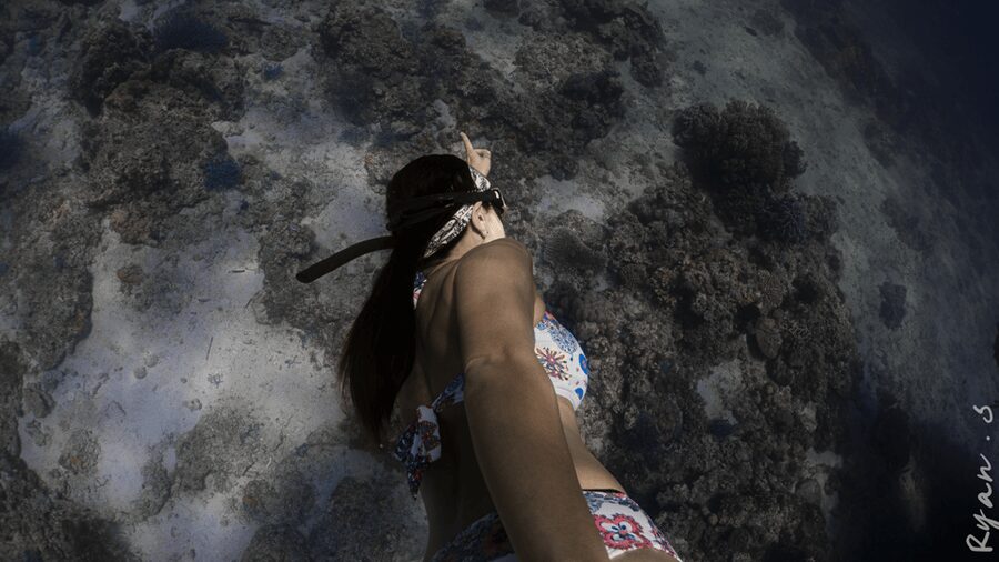 Discover Freediving in Boracay - What the feedback tells you