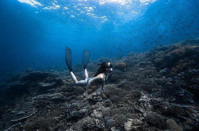 Discover Freediving One Amazing Day - Patient guides and the value of a tiny group