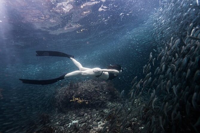 Discover Freediving One Amazing Day - Timing, meeting point, and cancellation details