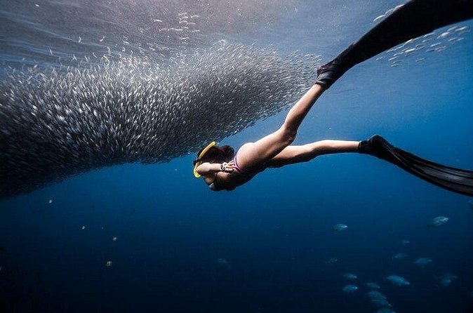 Discover Freediving One Amazing Day - Questions to ask before you reserve