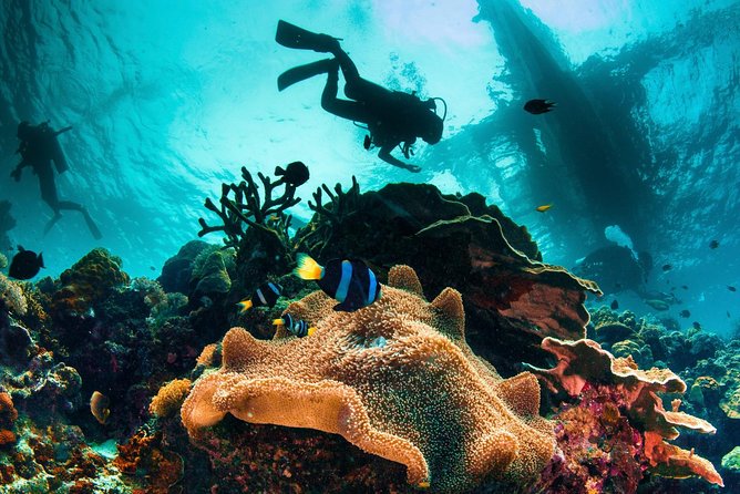 Discover Scuba Diving - Quick points to know