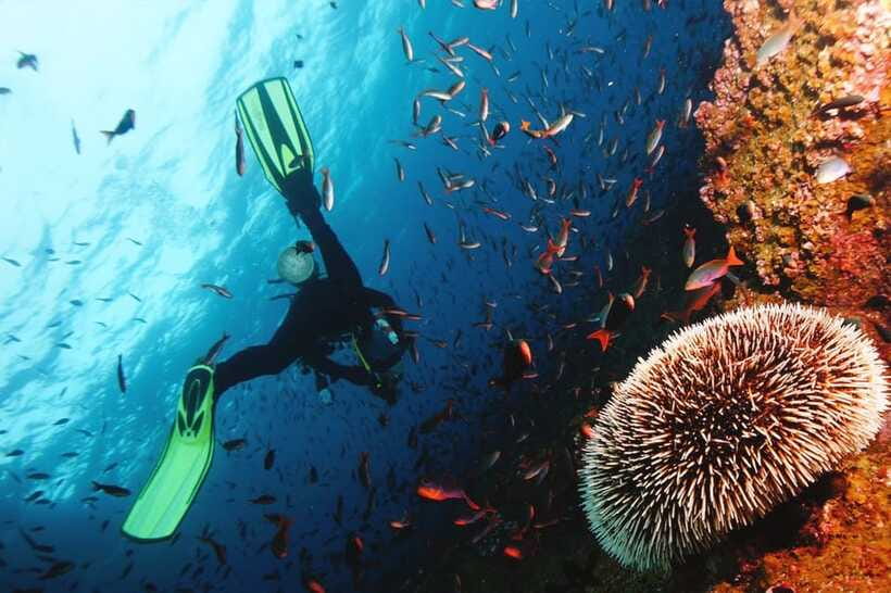 Discover Scuba Diving in Boracay - Safety is the main reason to choose this format