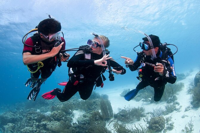 Discover Scuba Diving in Boracay with U/W Photo and Video - PADI eLearning and the First Safety Briefing