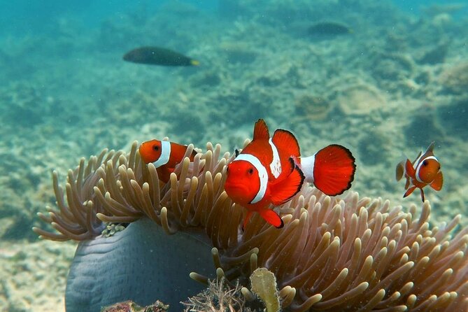 Discover Scuba diving in El Nido - Lunch and the seven-hour schedule