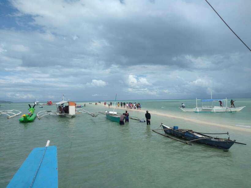 Dumaguete: Dolphin Watching & Manjuyod Sandbar Private Tour - Should you book the Dumaguete dolphin tour?