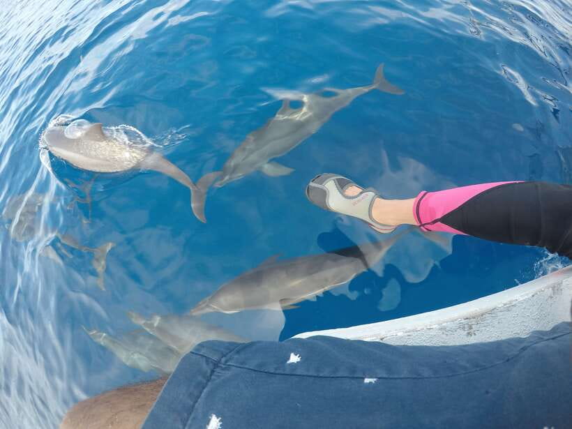 Dumaguete: Dolphin Watching & Manjuyod Sandbar Private Tour - An early start from Dumaguete