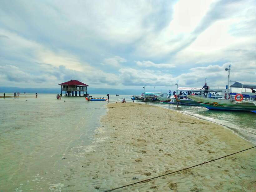 Dumaguete: Dolphin Watching & Manjuyod Sandbar Private Tour - Time, comfort, and the real shape of the day