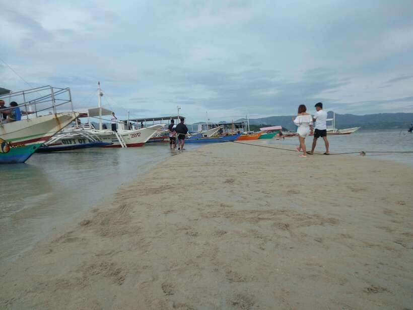 Dumaguete: Dolphin Watching & Manjuyod Sandbar Private Tour - Who will enjoy this day most?