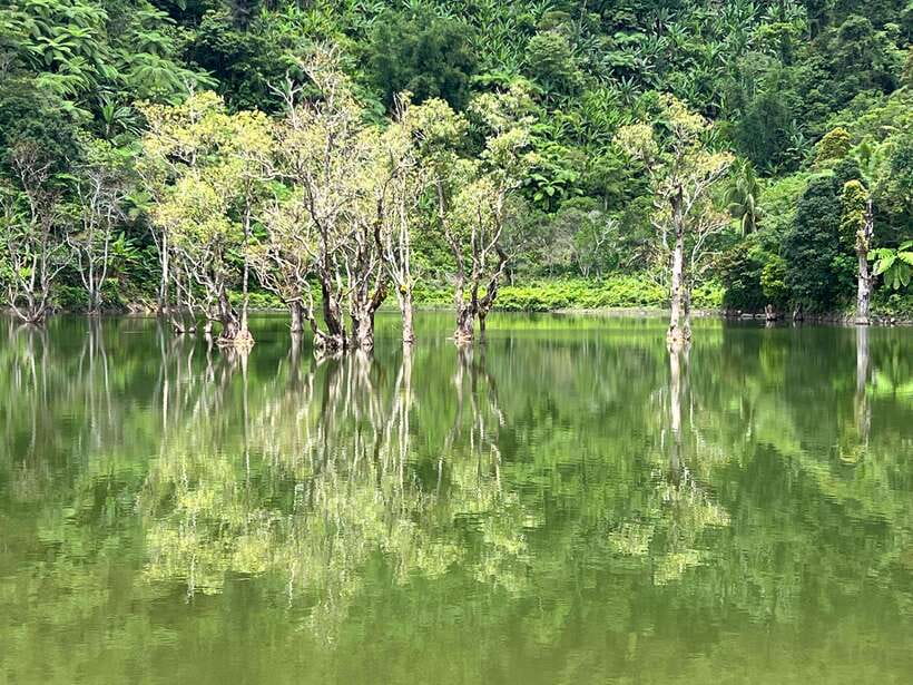 Dumaguete Full-Day Nature Tour in English - Who should book this experience