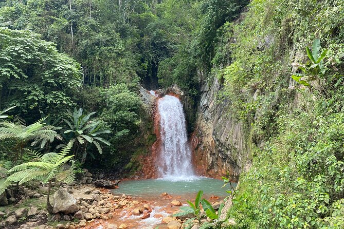 Dumaguete Tours in English - The best reasons to book this Dumaguete day tour