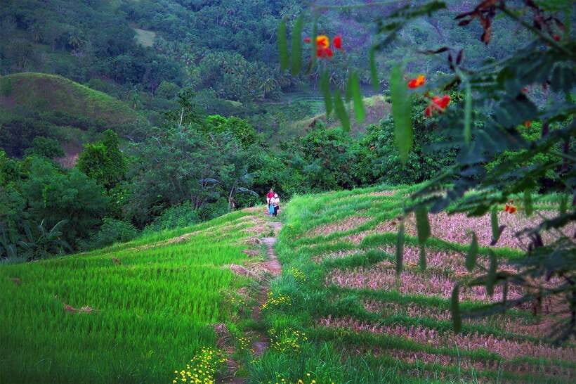 East Bohol Private Tour: Anda, Waterfalls & Lamanok Island - Anda’s fruit market and quieter coast