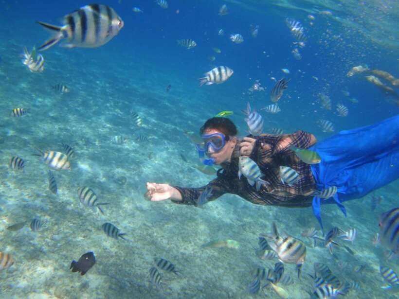 El Nido: Island Hopping Tour A Lagoons and Beaches - Shimizu Island: beach time between the lagoons