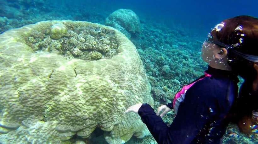 El Nido: Island Hopping Tour B Cudognong Cave & More - Key points at a glance