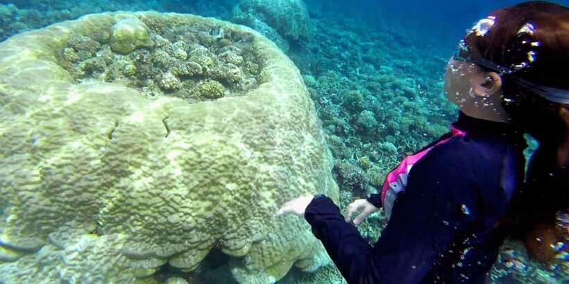 El Nido: Island Hopping Tour B Cudognong Cave & More - Entalula Island and the classic white beach stop