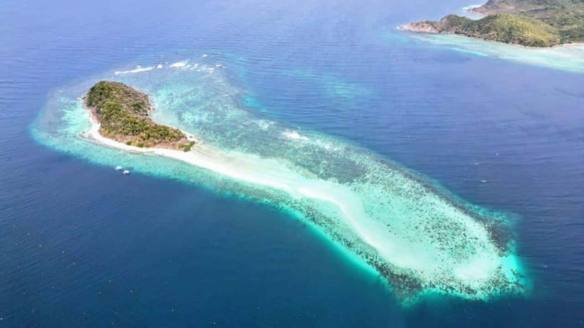 El Nido: Manta Ray Diving Experience in Sibaltan - The second 50-minute session on the coral reef