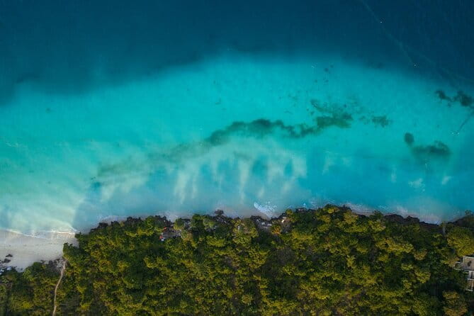 El Nido Palawan Mangrove and Sand Bar Tour, with Lunch - Who will get the most from this $118 outing