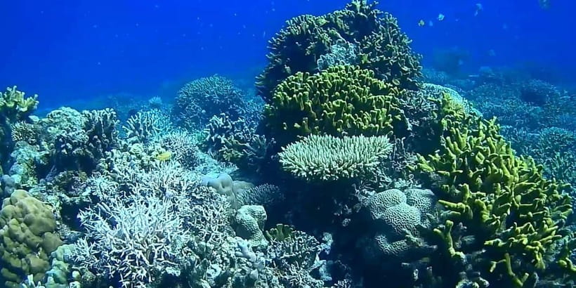 El Nido, Sibaltan: Private Snorkeling & Secret Islands Tour - Little Maosanon and Talisay Beach