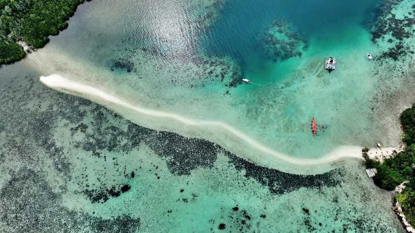 El Nido: Snake Island and Cave Tour with Island Lunch - The boat ride, guide, and group feel