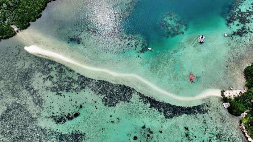 El Nido: Snake Island and Cave Tour with Island Lunch - Starting at Jarace Grill or Marber’s