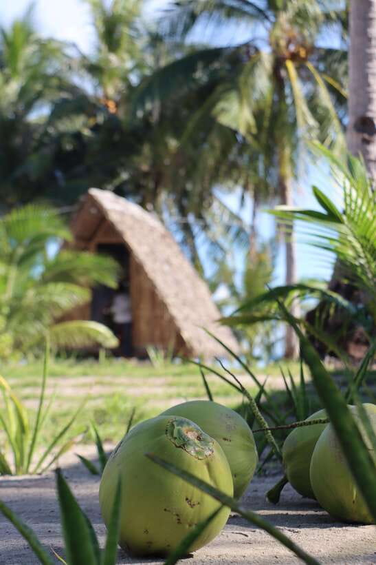 El Nido to Coron: 3-Day 2-Night Island-Hopping Expedition - Is $339 a good value?