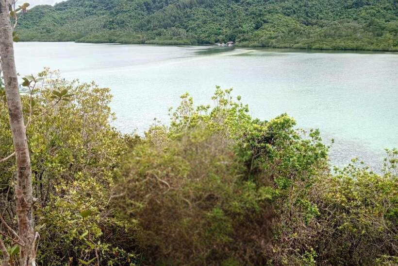 El Nido: Tour B with Snake Island, Cudugnon Cave, and More - Meeting at Grounded Coffee and reaching the dock