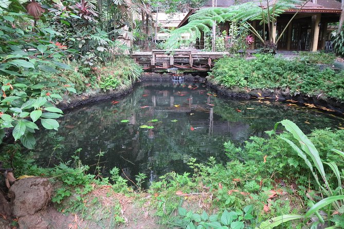 Escape to Enchanting Hidden Valley Springs! with Transfers*** - Filipino lunch and the pace of the day