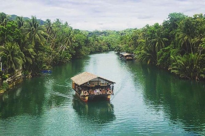 Famous Bohol Chocolate Hills Loboc River Cruise Tarsier Tour - A long but well-planned day from Tagbilaran