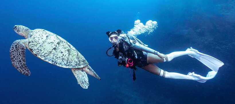 Fisheye Divers: Discover Scuba Diving - A gentle first step into scuba