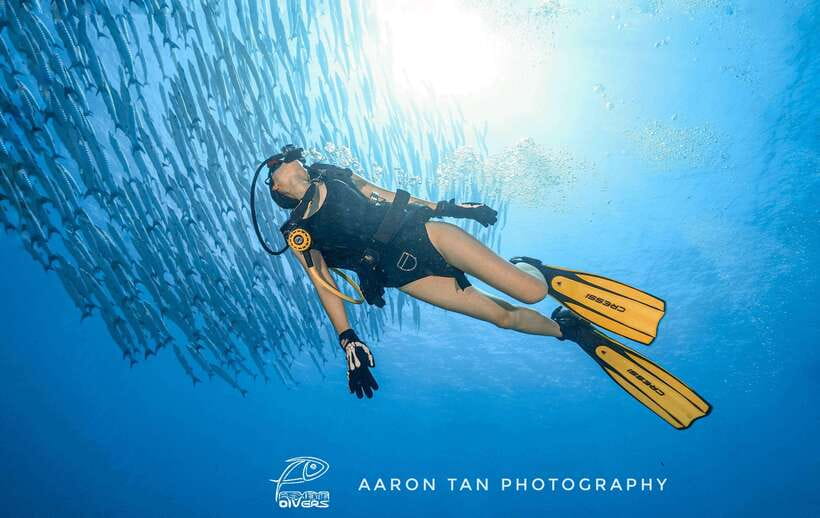 Fisheye Divers: Discover Scuba Diving - Learning the basics before open water