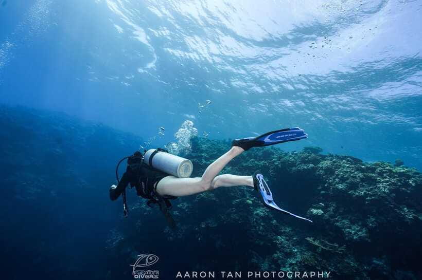 Fisheye Divers: Discover Scuba Diving - Photos, videos, snacks, and the practical extras