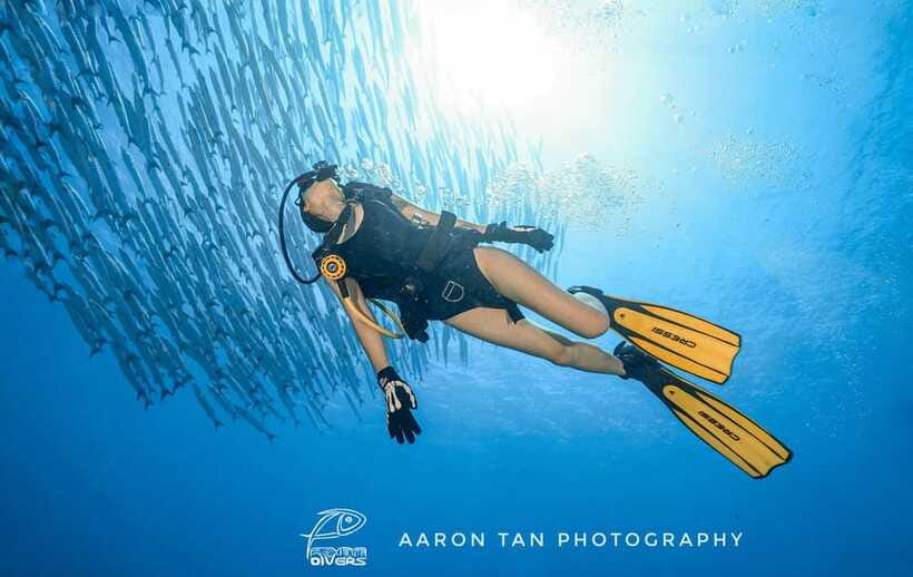 Fisheye Divers: Discover Scuba Diving - Timing, fitness, and safety details