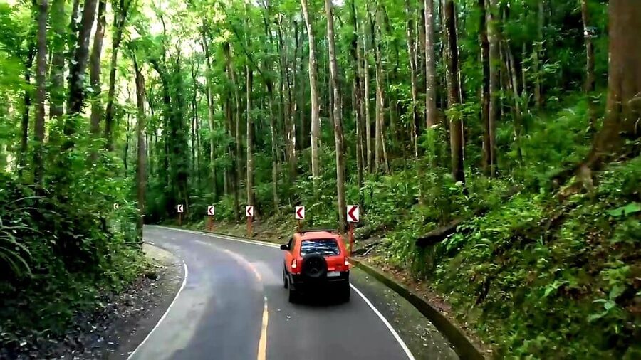 From Cebu: Bohol Countryside & Buffet Lunch Exclusive Tour - Chocolate Hills in a short, scenic visit