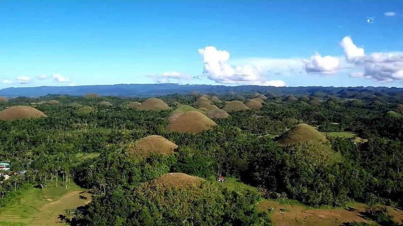 From Cebu: Bohol Countryside & Buffet Lunch Exclusive Tour - Meeting Bohol’s tiny tarsiers responsibly