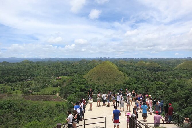 From Cebu: Bohol Countryside Private Tour & Loboc River Cruise - An early ferry makes the full-day Bohol plan possible