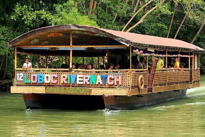 From Cebu: Bohol Countryside Private Tour & Loboc River Cruise - The Chocolate Hills are the day’s big payoff