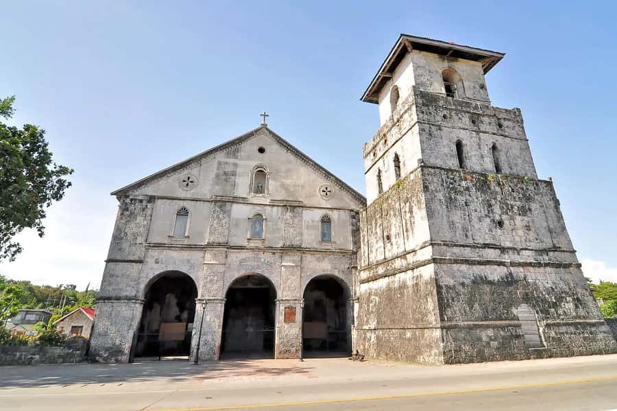 From Cebu: Bohol Countryside Private Tour with Buffet Lunch - Guides, drivers, and the private-tour advantage