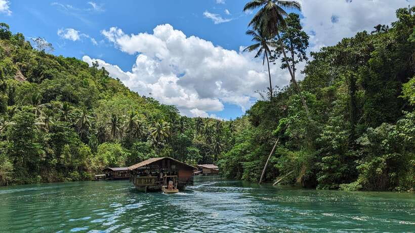 From Cebu City: Bohol Island Highlights in One Day - Tarsier Sanctuary: small primates, careful viewing