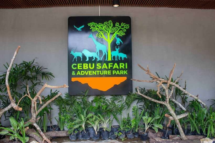 From Cebu City: Cebu Safari and Adventure Park Day Tour - Leaving Cebu City for the Hills of Carmen