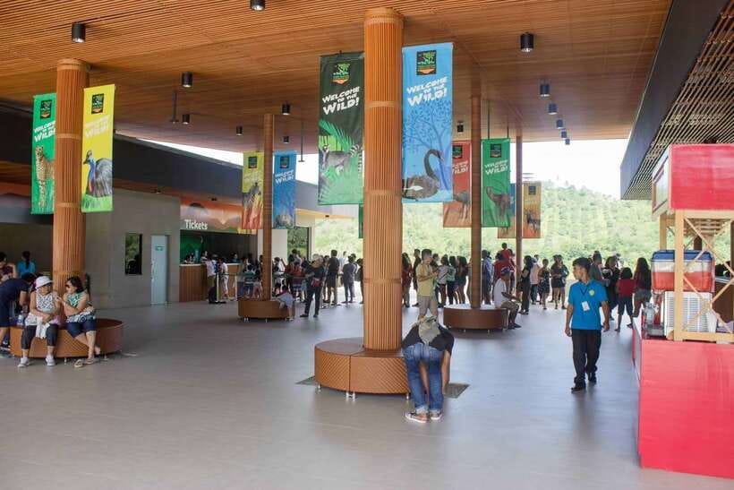 From Cebu City: Cebu Safari and Adventure Park Day Tour - White Lions and Bengal Tigers