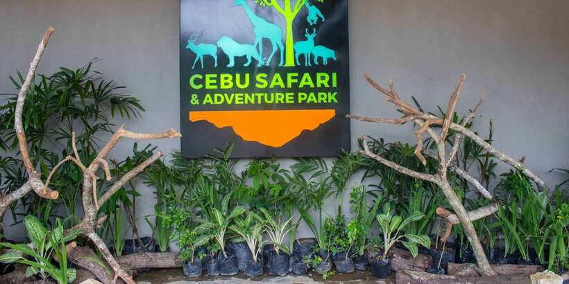 From Cebu City: Cebu Safari and Adventure Park Day Tour - Michelle’s Garden and Gardens of the World